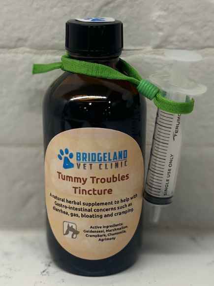 Picture of Tummy Troubles Tincture 230ml